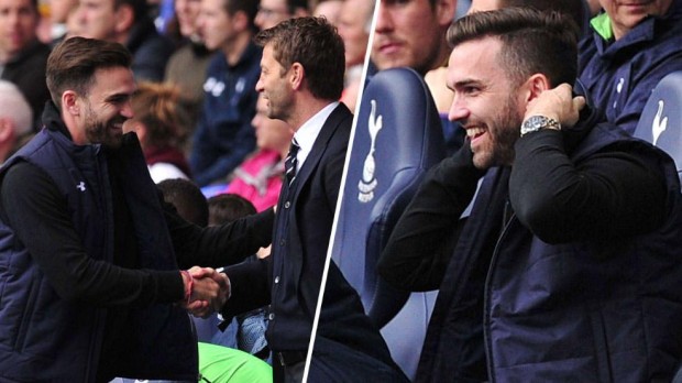 Tottenham Trainer Tim Sherwood holt besserwisserischen Fan auf die Trainerbank