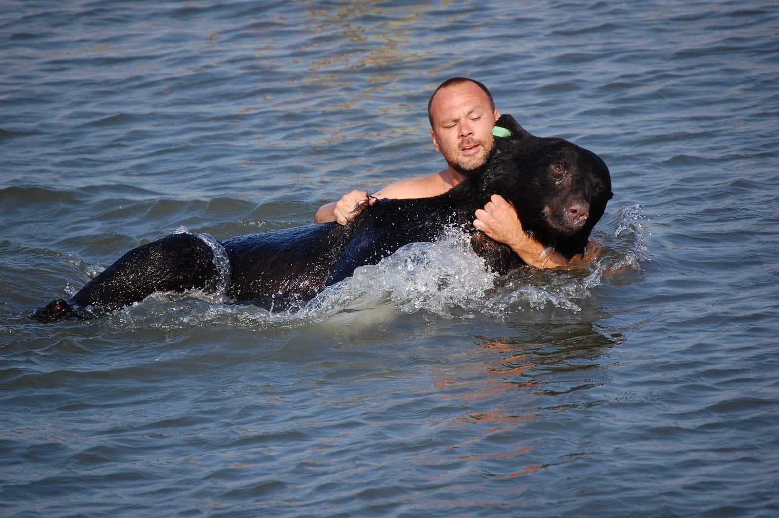 Мужчина спас собаку. Мужчина спас тонущего медведя. Спасение животных из воды.